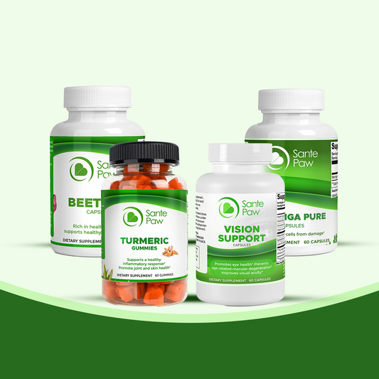 Immune & Energy Boost Bundle